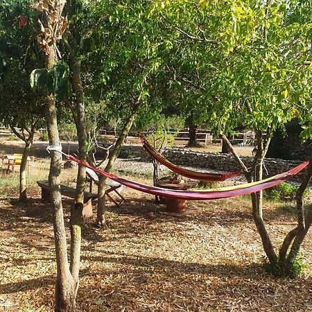 Azienda Agricola Affittacamere S'Ispinalba Di Laura Pitzolu Borore المظهر الخارجي الصورة
