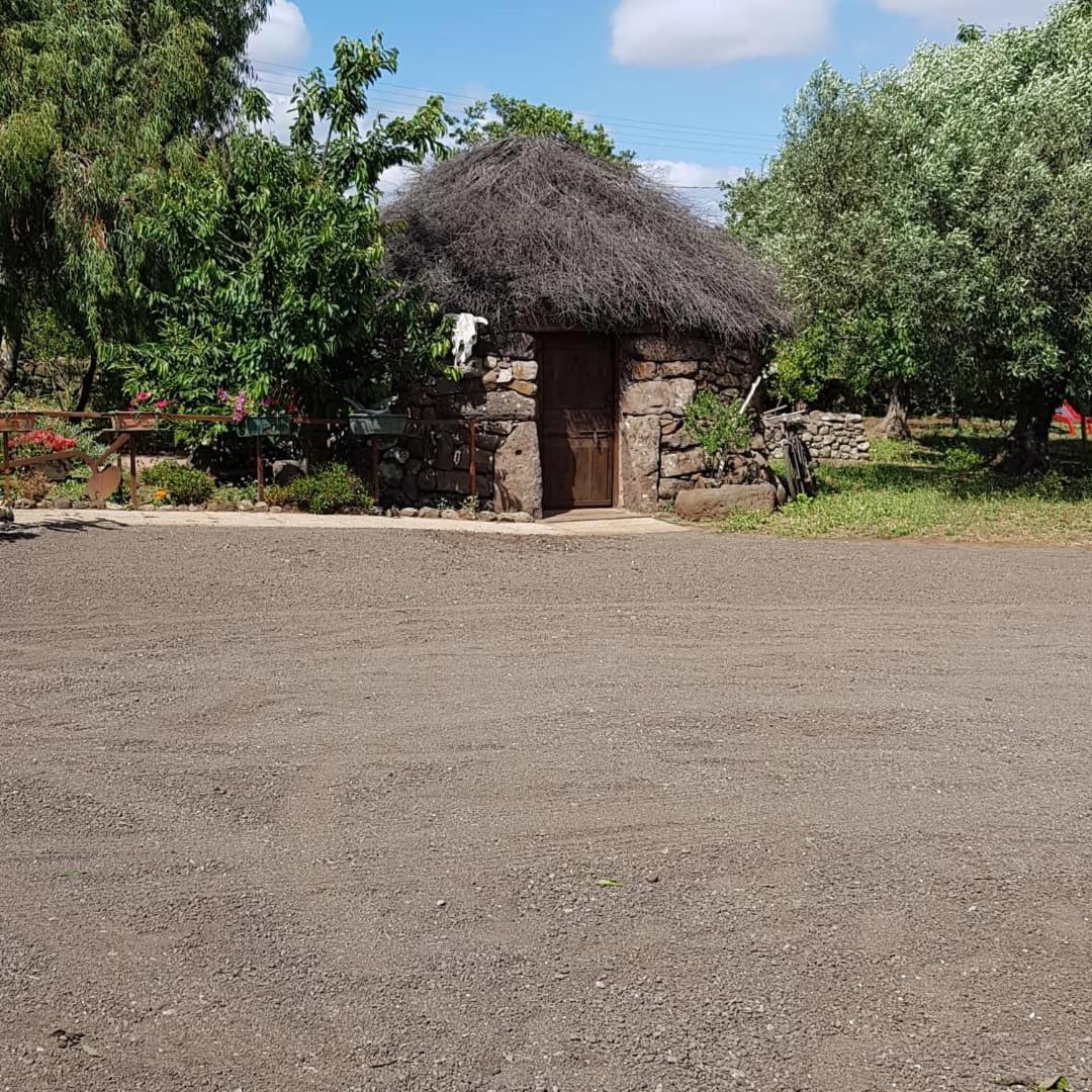 Azienda Agricola Affittacamere S'Ispinalba Di Laura Pitzolu Borore المظهر الخارجي الصورة