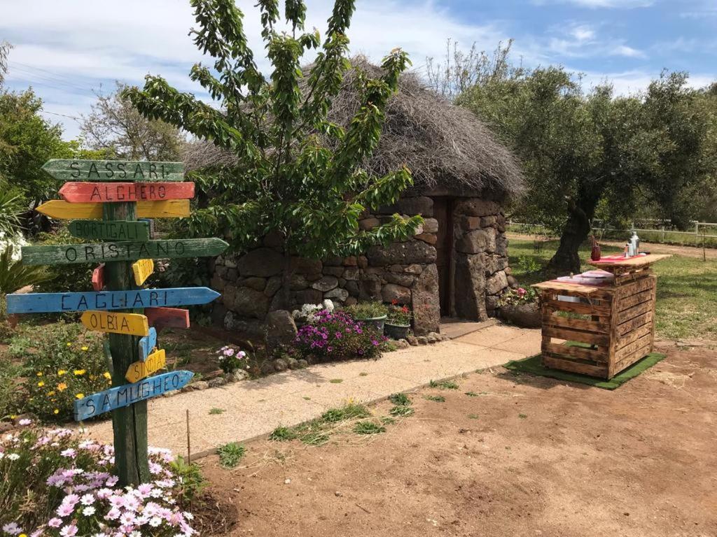 Azienda Agricola Affittacamere S'Ispinalba Di Laura Pitzolu Borore المظهر الخارجي الصورة